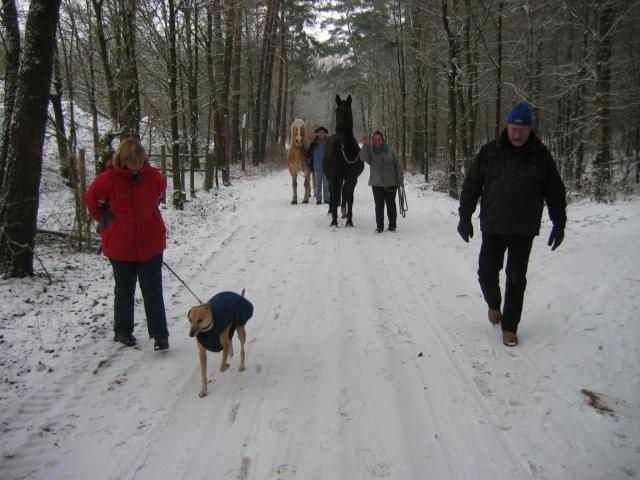 foto2